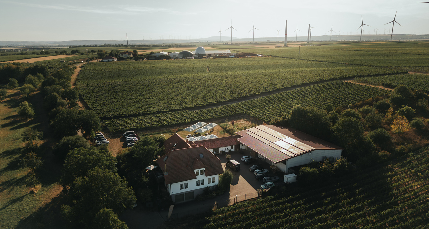 http://weingut.schmitt-herrnsheim.de/wp-content/uploads/2026/10/1500x800-Weingut-Volker-Schmitt-35.jpg