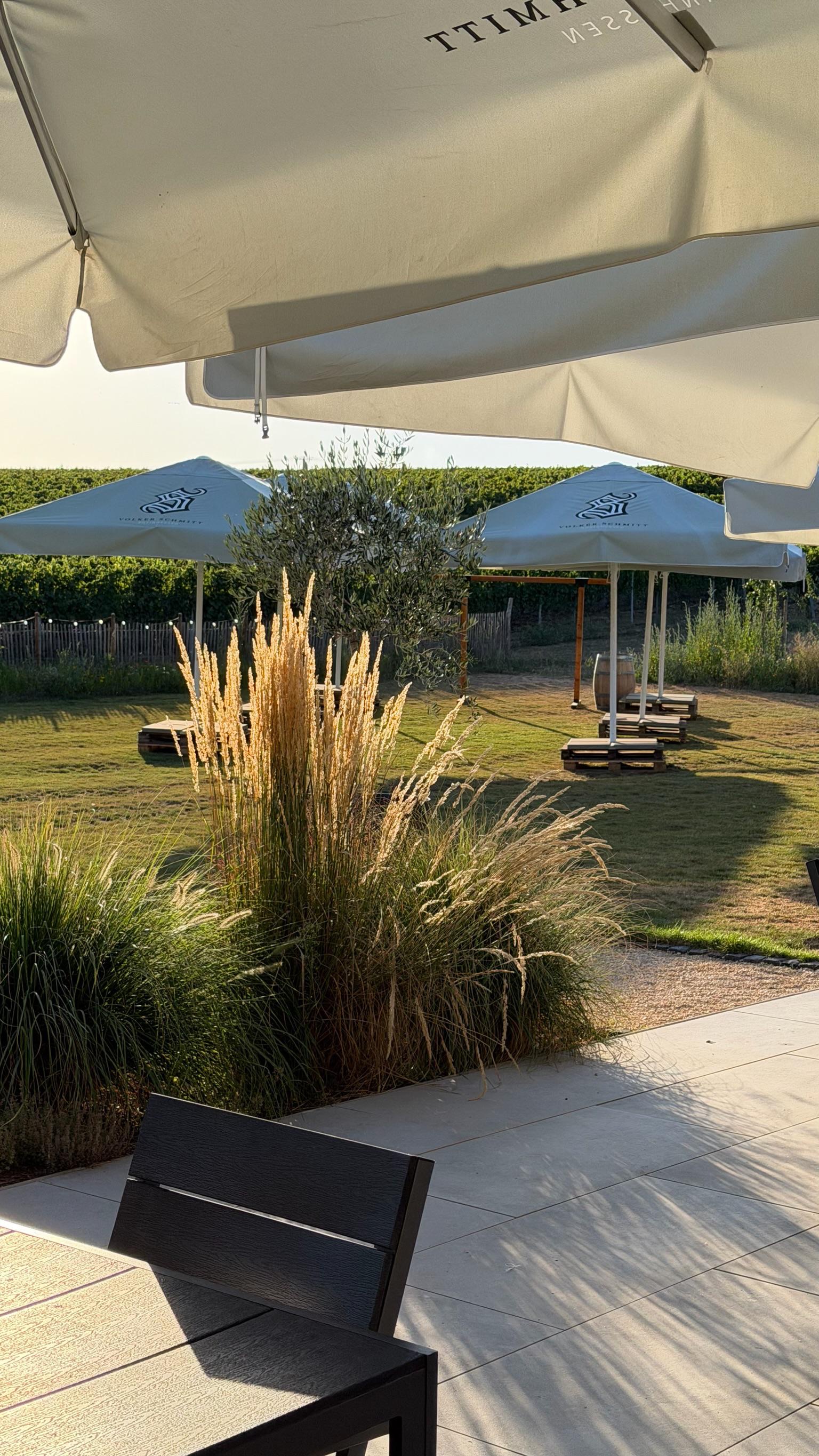 http://weingut.schmitt-herrnsheim.de/wp-content/uploads/2026/10/7479ef7e-d8a3-4f96-9298-c6e5df292bea.jpg