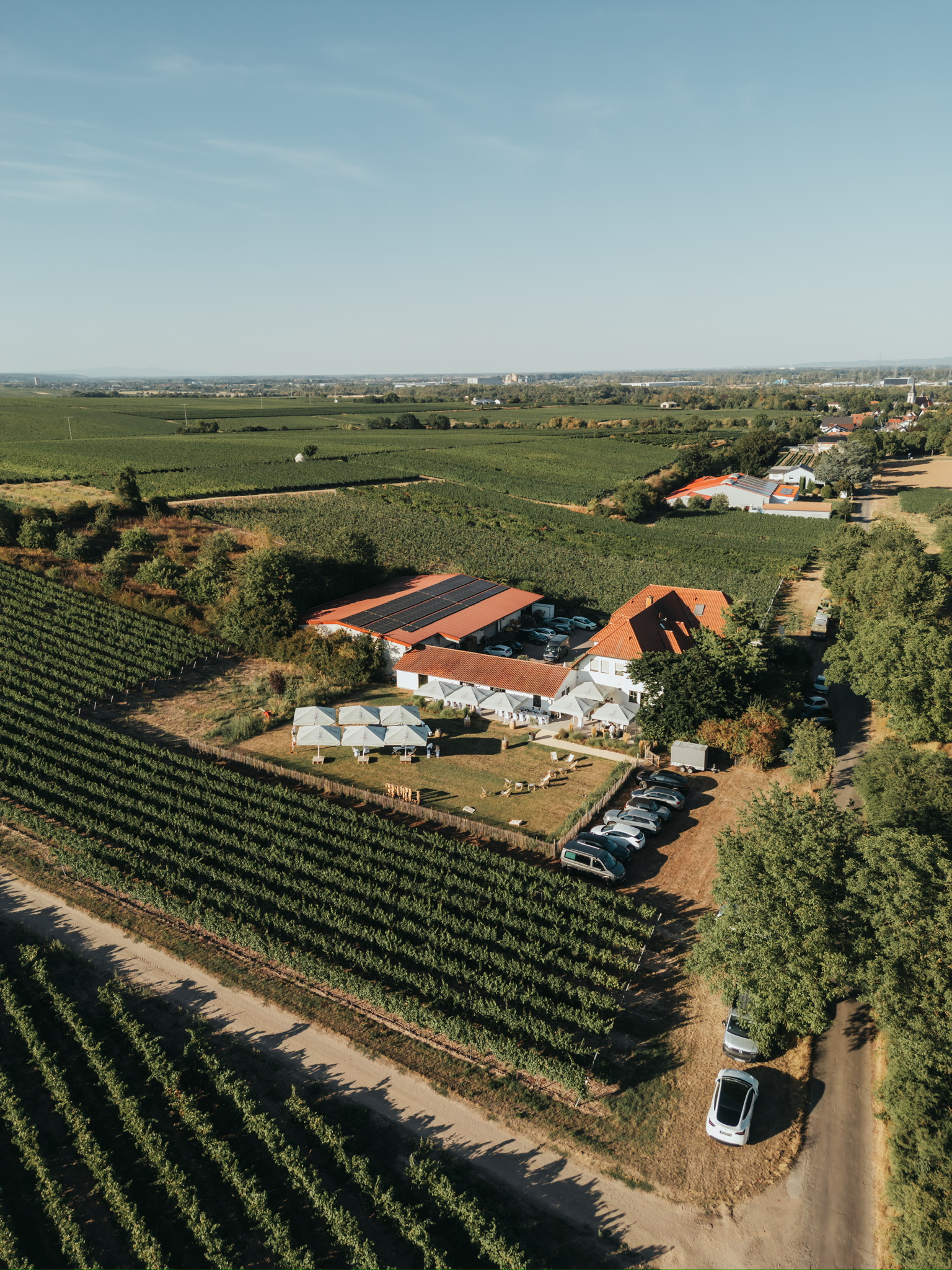 http://weingut.schmitt-herrnsheim.de/wp-content/uploads/2026/10/Weingut-Volker-Schmitt-29.jpg