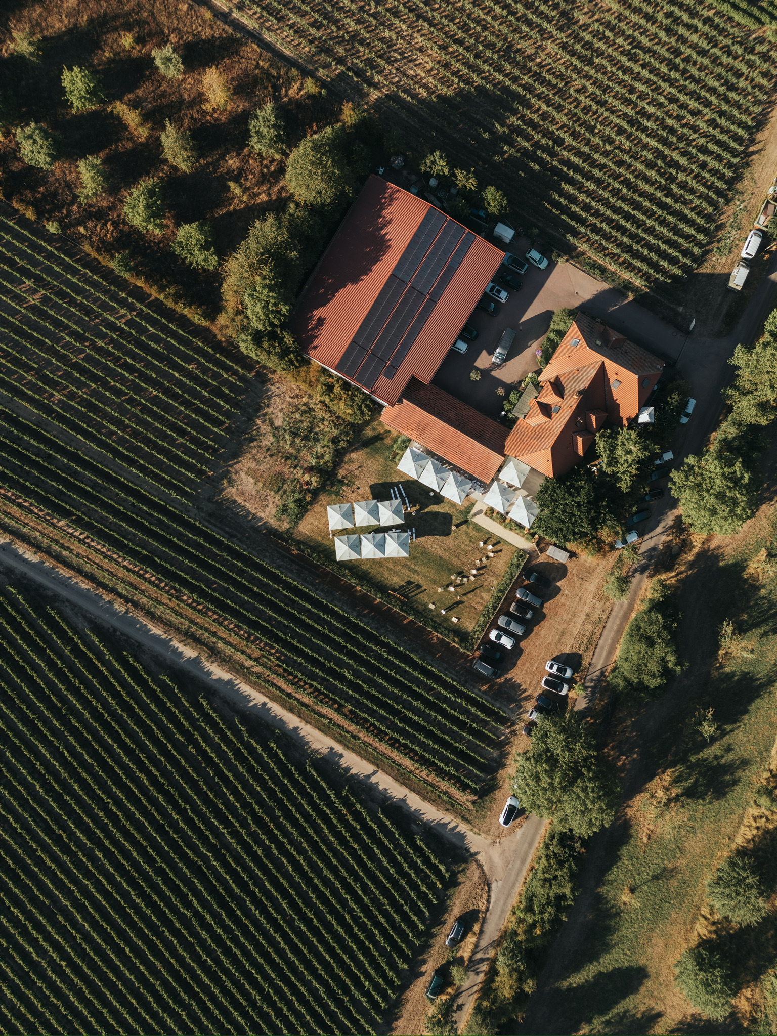 http://weingut.schmitt-herrnsheim.de/wp-content/uploads/2026/10/Weingut-Volker-Schmitt-31.jpg